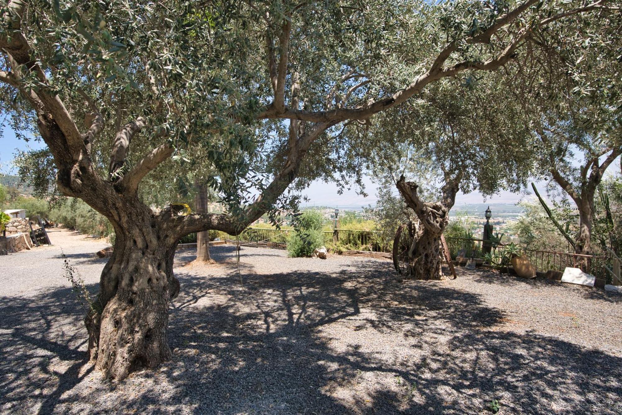 Hameiri Estate Rosh Pinna Exterior foto